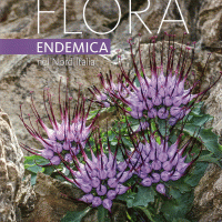 Presentato al pubblico il volume FLORA ENDEMICA NEL NORD ITALIA - Rovereto, 13 dicembre 2024